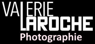 Logo VALERIE LAROCHE Photographie