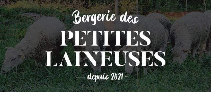 Logo Bergerie des Petites Laineuses