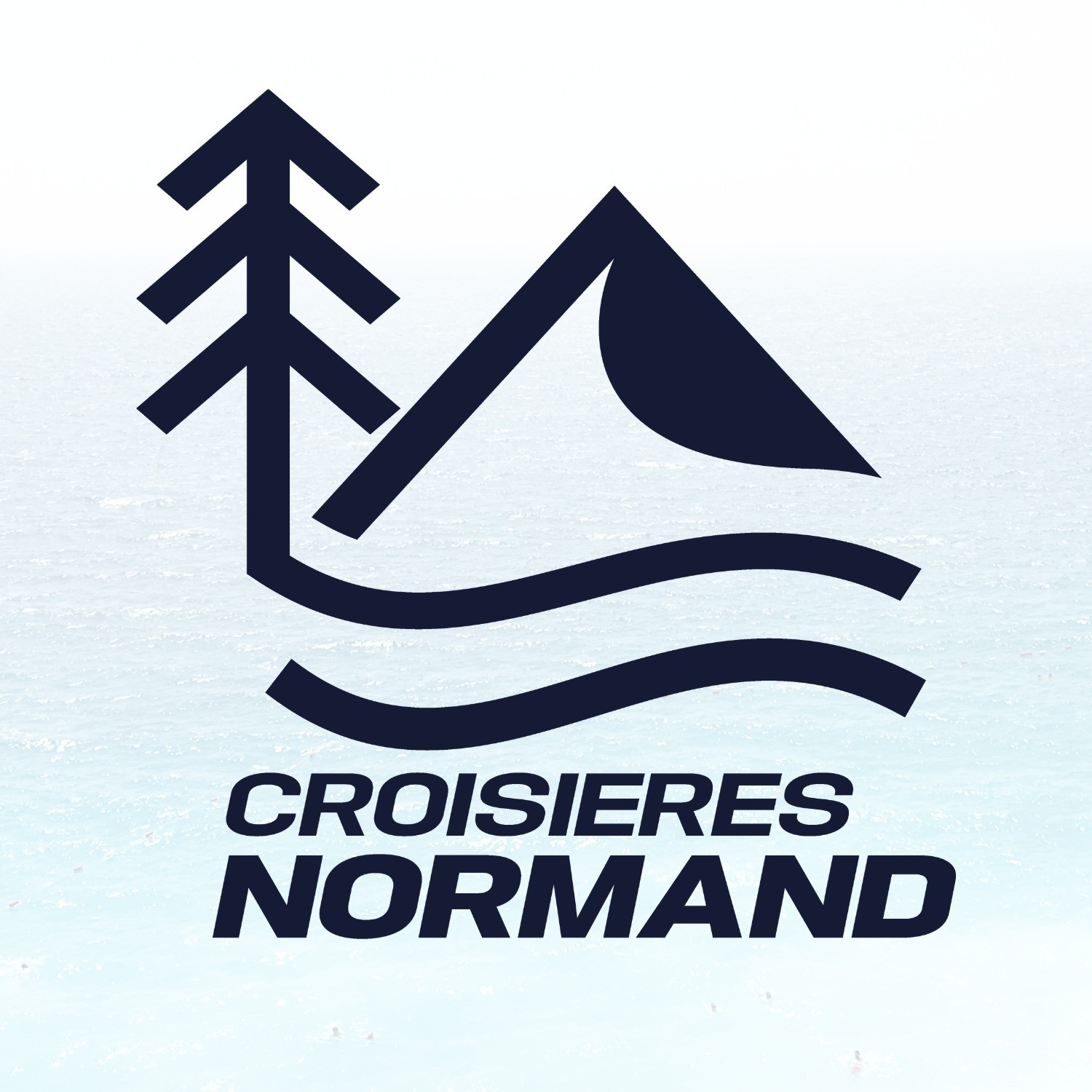 Logo Croisières Normand Charlevoix