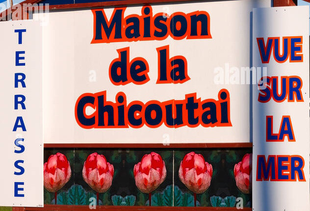 Logo Maison de la Chicoutai