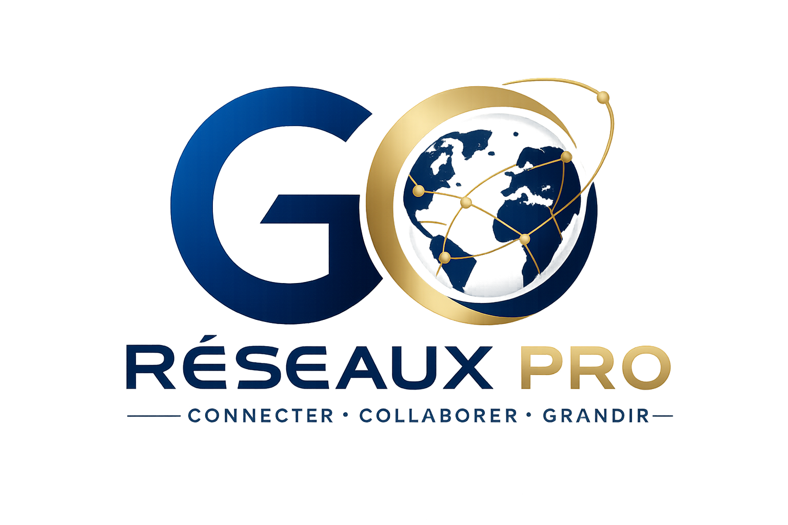 Logo GO R&eacute;seaux Pro