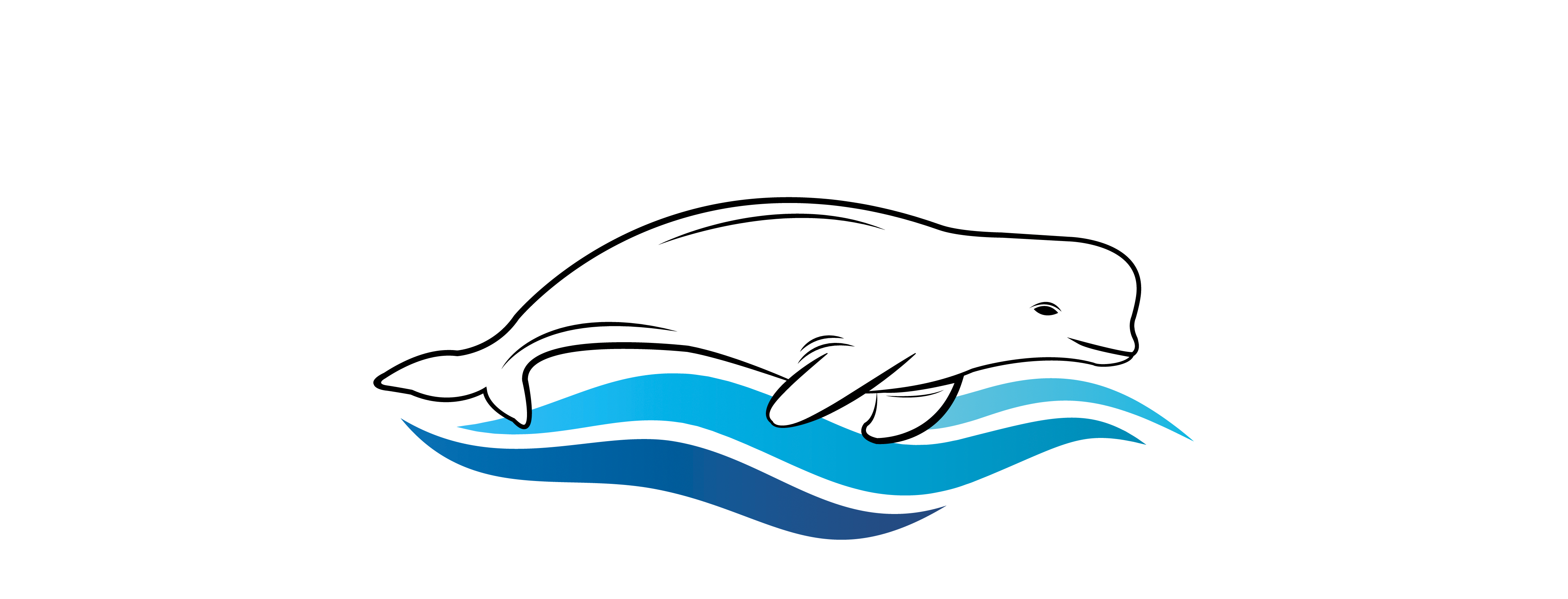 Logo Maison Le Beluga