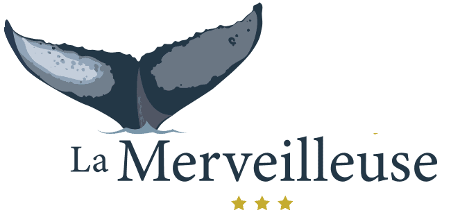 Logo Auberge La Mer Veilleuse