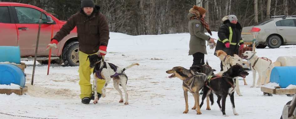 Activités hivernales