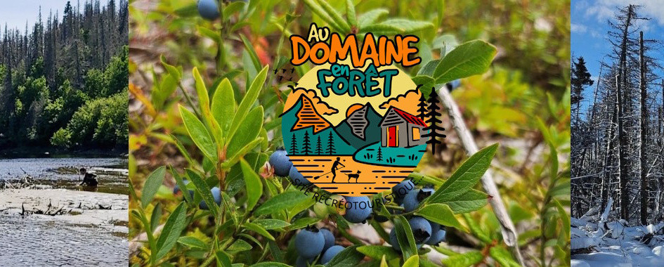 EXPÉRIENCES AUTHENTIQUES - SEPT-ÎLES EXPÉRIENCES AUTHENTIQUES