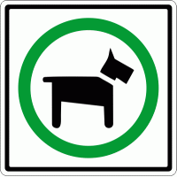 chiens-animaux-permis